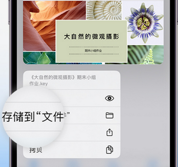 襄垣apple维修中心分享iPhone文件应用中存储和找到下载文件