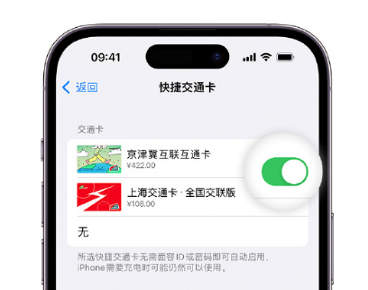 襄垣apple维修点分享iPhone上更换Apple Pay快捷交通卡手绘卡面 