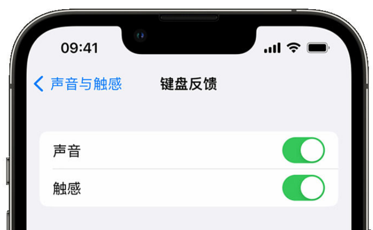 襄垣苹果手机维修分享iPhone 14触感键盘使用方法 