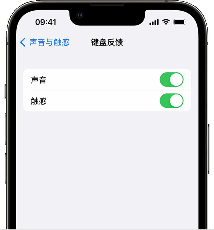 襄垣苹果14维修店分享如何在 iPhone 14 机型中使用触感键盘 