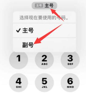 襄垣苹果14维修店分享iPhone 14 Pro Max使用副卡打电话的方法 