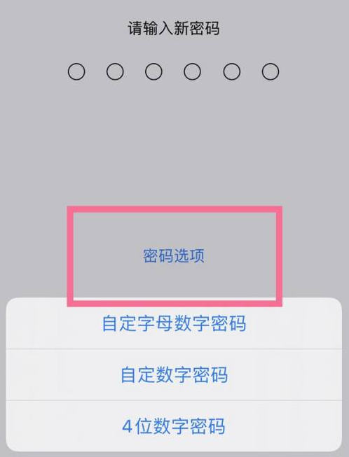 襄垣苹果14维修分享iPhone 14plus设置密码的方法 