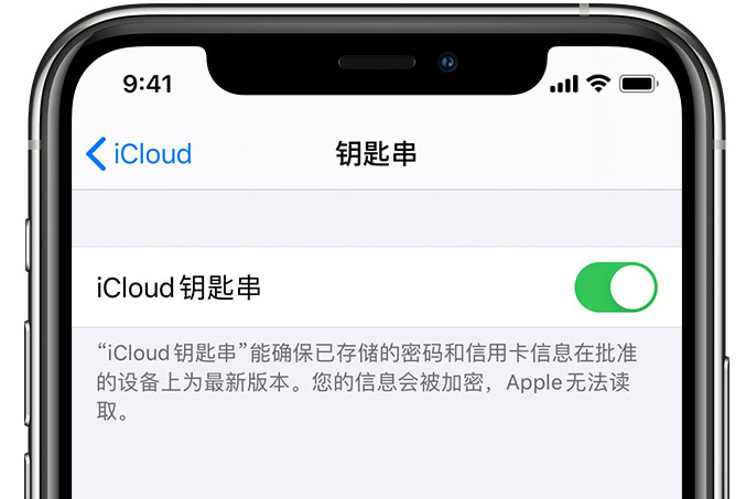 襄垣苹果手机维修分享在 iPhone 上开启 iCloud 钥匙串之后会储存哪些信息 