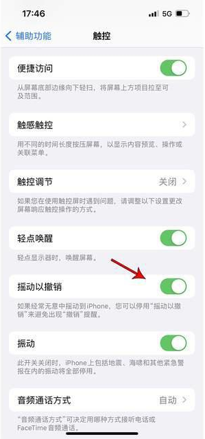 襄垣苹果手机维修分享iPhone手机如何设置摇一摇删除文字 